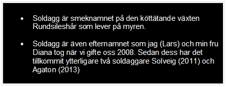 Text Box: 	Soldagg r smeknamnet p den ktttande vxten Rundsileshr som lever p myren. 
	Soldagg r ven efternamnet som jag (Lars) och min fru Diana tog nr vi gifte oss 2008. Sedan dess har det tillkommit ytterligare tv soldaggare Solveig (2011) och Agaton (2013)


